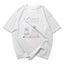 Camiseta Oversized Frieren Beyound Journey's End